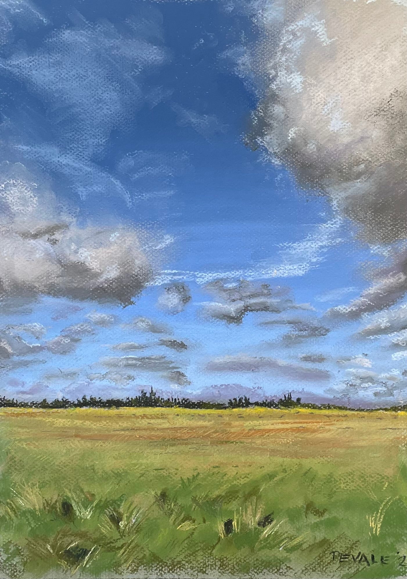 Skies Over Bushy Park, London