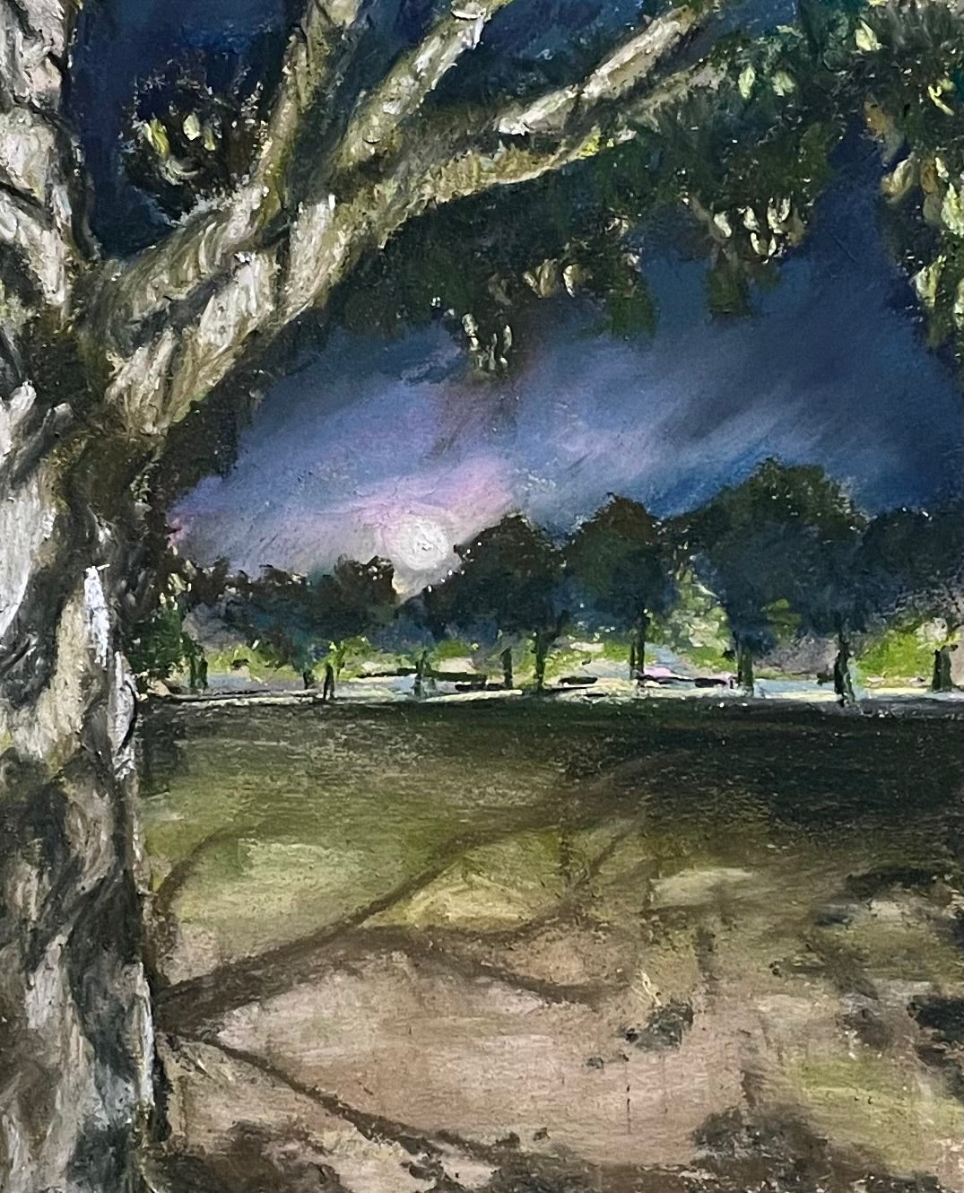 The Meadows At Midnight