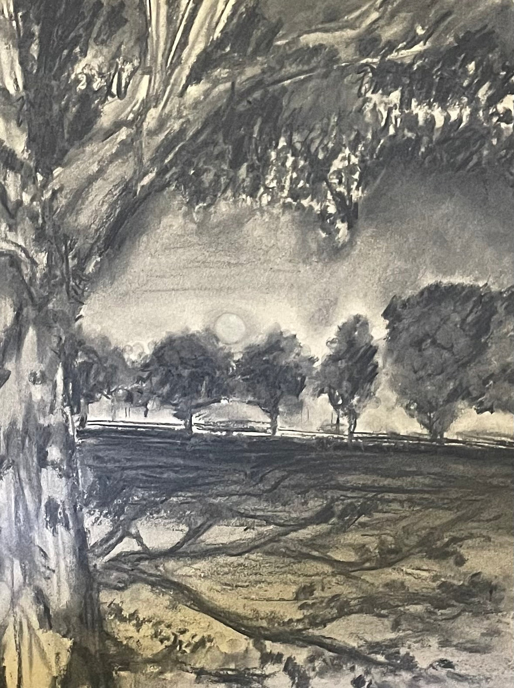 The Meadows At Midnight