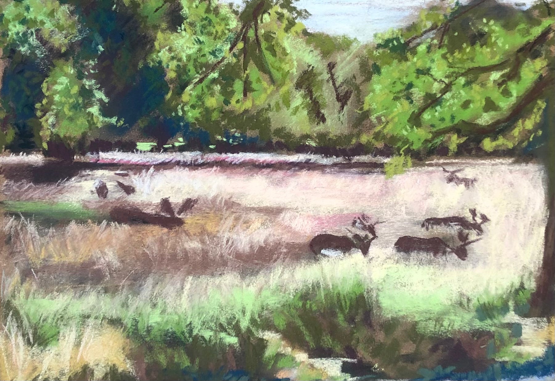 Deer in Richmond Park
